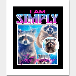 Simply Stunning Raccoon Posters and Art